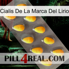 Lily Brand Cialis cialis1